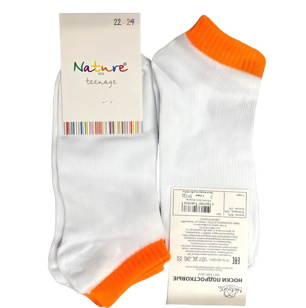 Носки детские демисезон арт.910д/661д/857д р.18-24