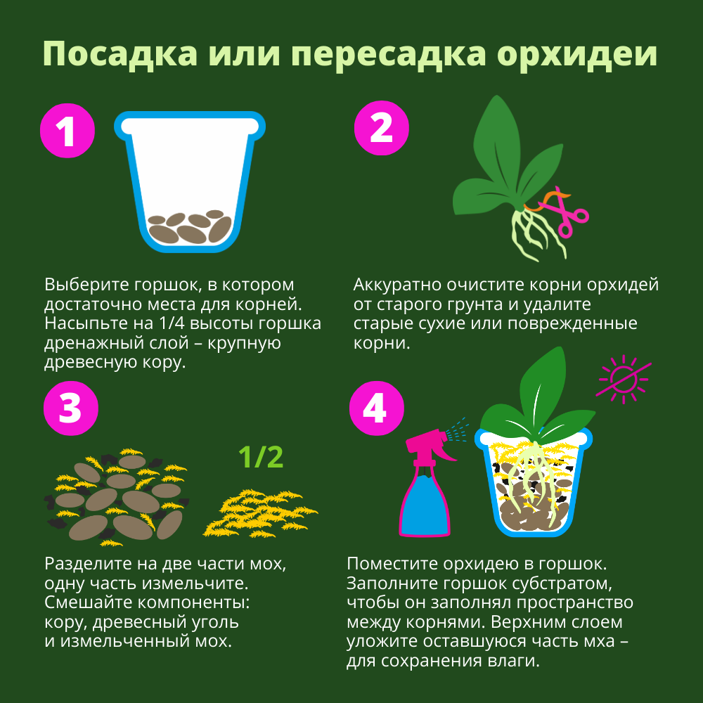 Биомастер набор биокомпонентов для орхидей 2л +комплексное удобрение 5мл