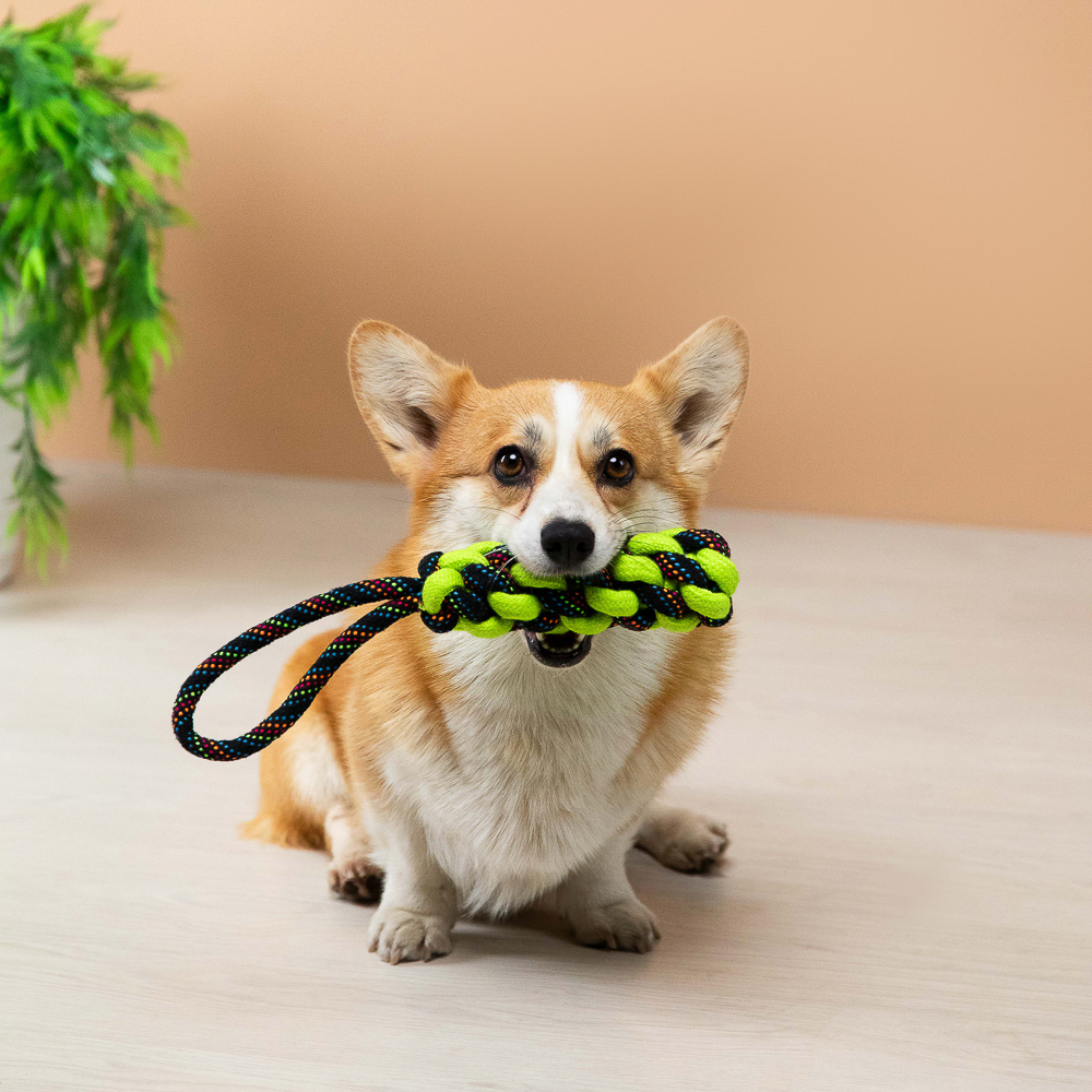 VETTA Игрушка для домашних животных, плеть, перо, набор 2шт