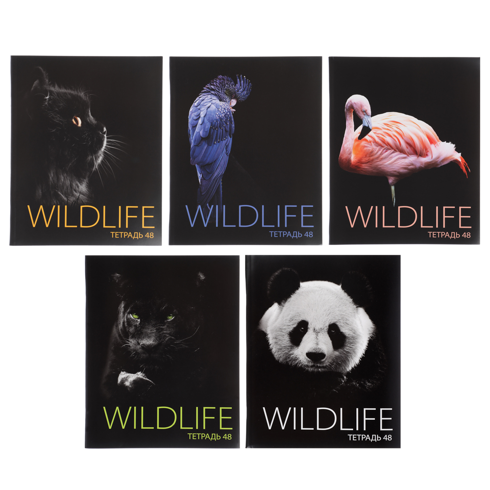 ClipStudio Тетрадь общая 48л, в клетку, офсет, обл мел.картон, скрепка, Звери на черном, ВД-лак5 диз