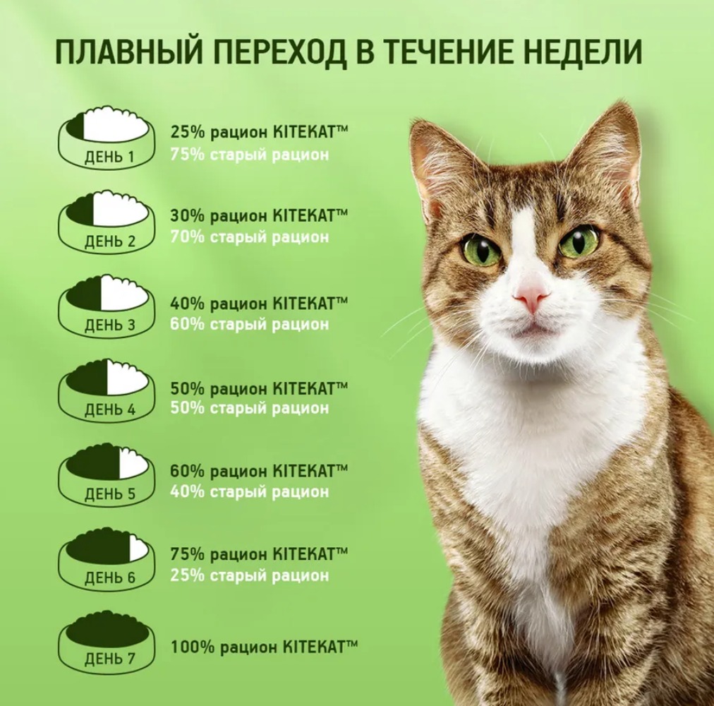 Kitekat влажный Ягненок в соус 85г м/уп