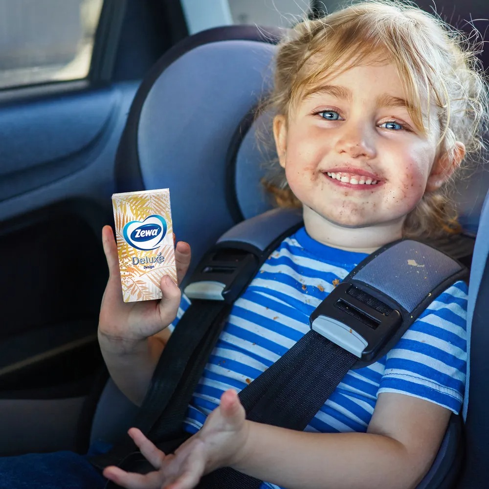 Зева носовые платочки Deluxe дизайн/10штx10