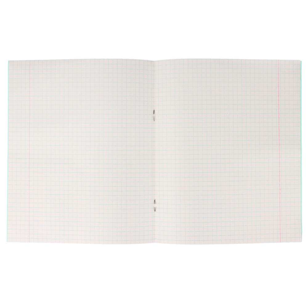 Тетрадь школьная 12 листов ,в клетку 012ТУ13С5