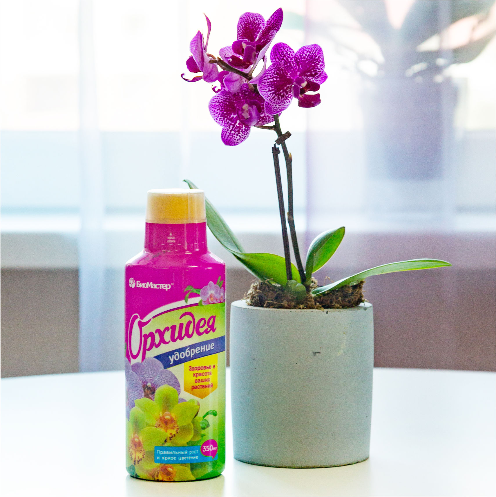 Биомастер Орхидея жидкое удобрение для профессионального ухода 0,35л