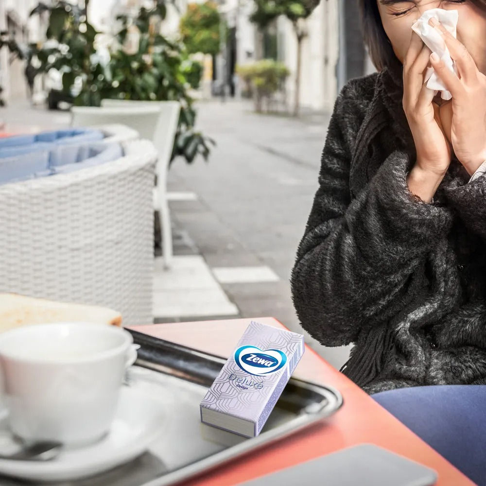 Зева носовые платочки Deluxe дизайн/10штx10