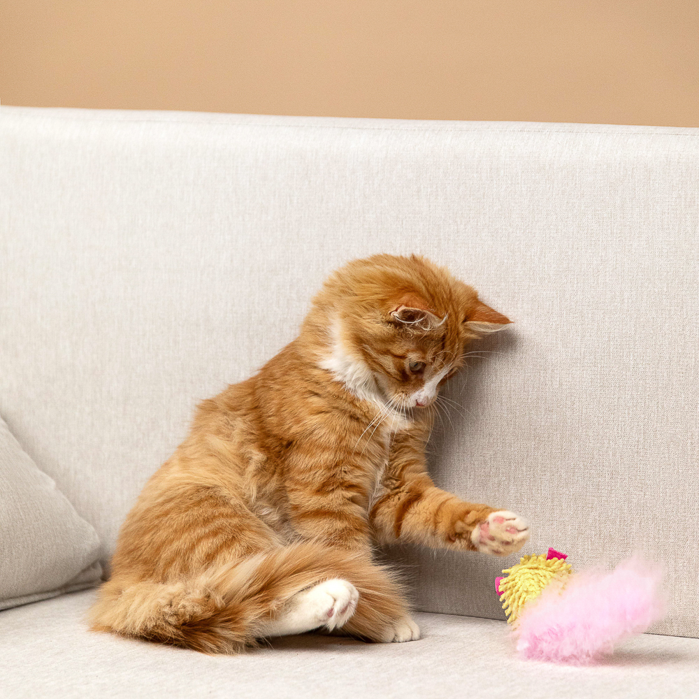 VETTA Игрушка для домашних животных, ПЭ, 6,5*4,5 см