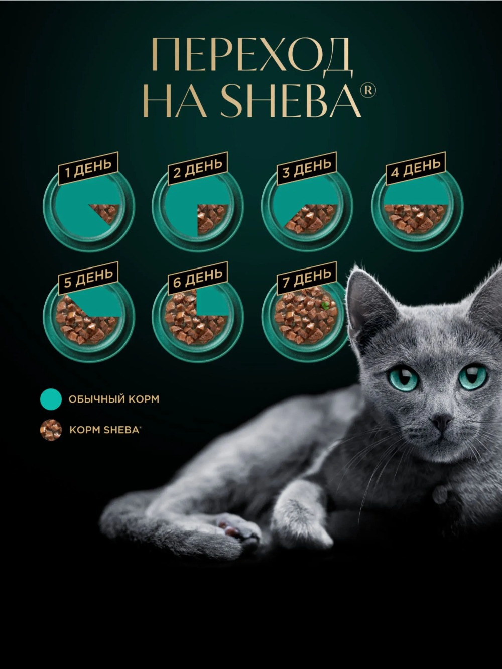 Sheba Craft кусочки говядины в соусе 75гр