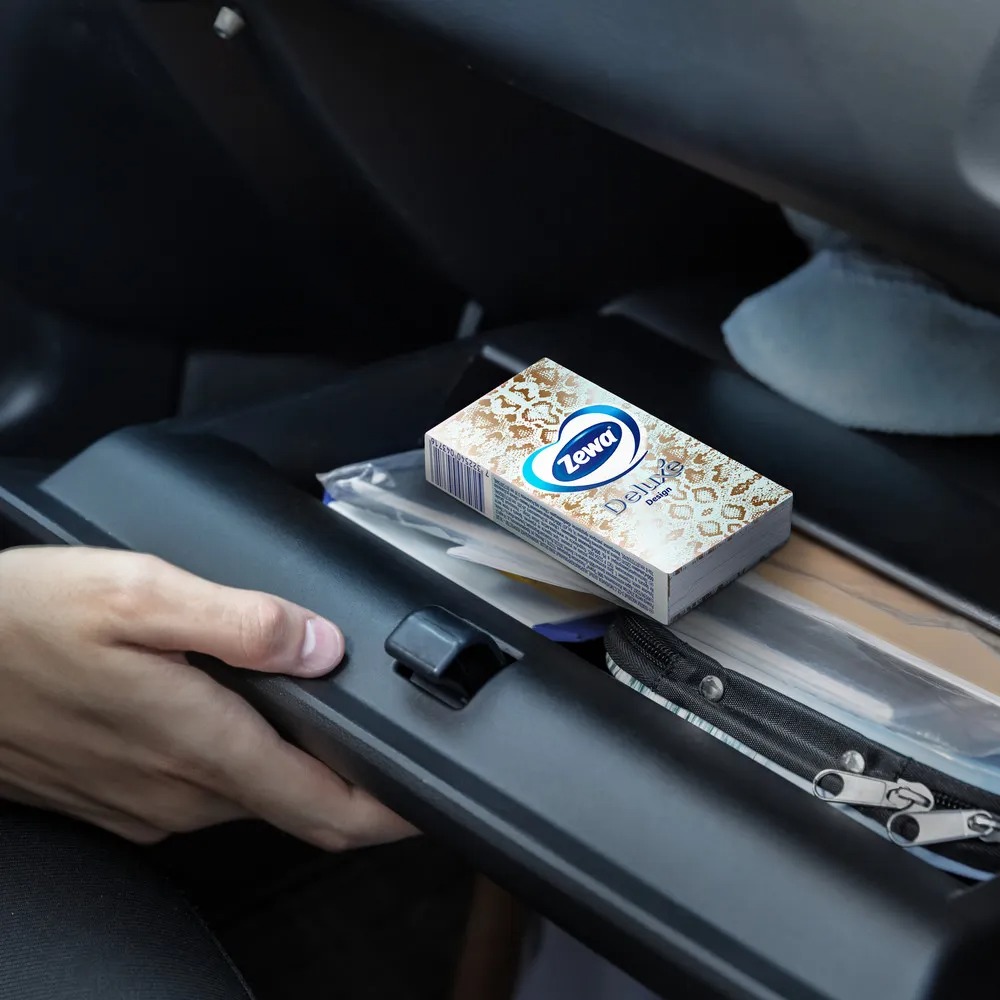 Зева носовые платочки Deluxe дизайн/10штx10