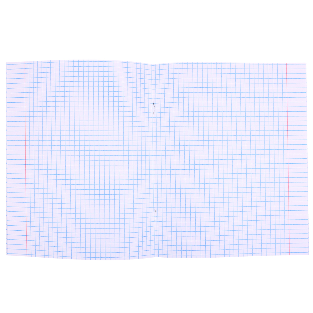 ClipStudio Тетрадь школьная 24л. в клетку, БЕЛЫЕ ЛИСТЫ, обл. пластик, "Однотонная", скрепка