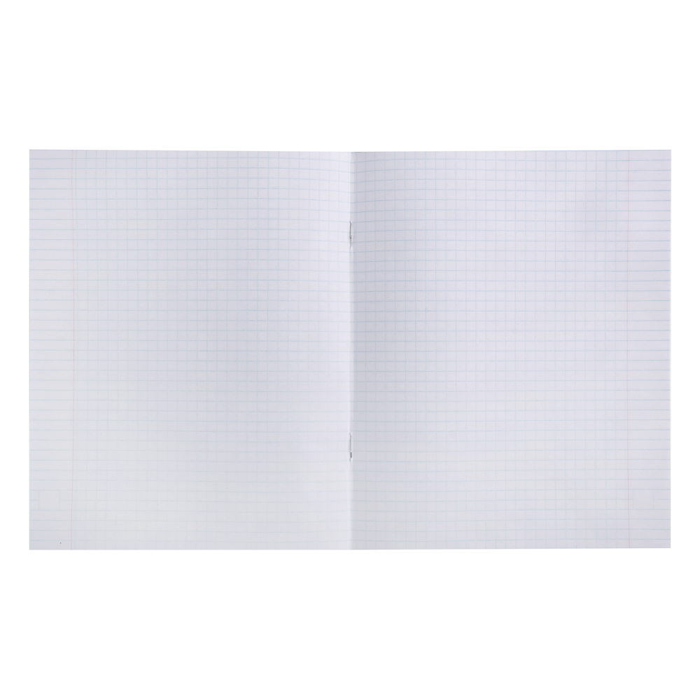 ClipStudio Тетрадь общая 48 листов,в клетку БЕЛЫЕ ЛИСТЫ