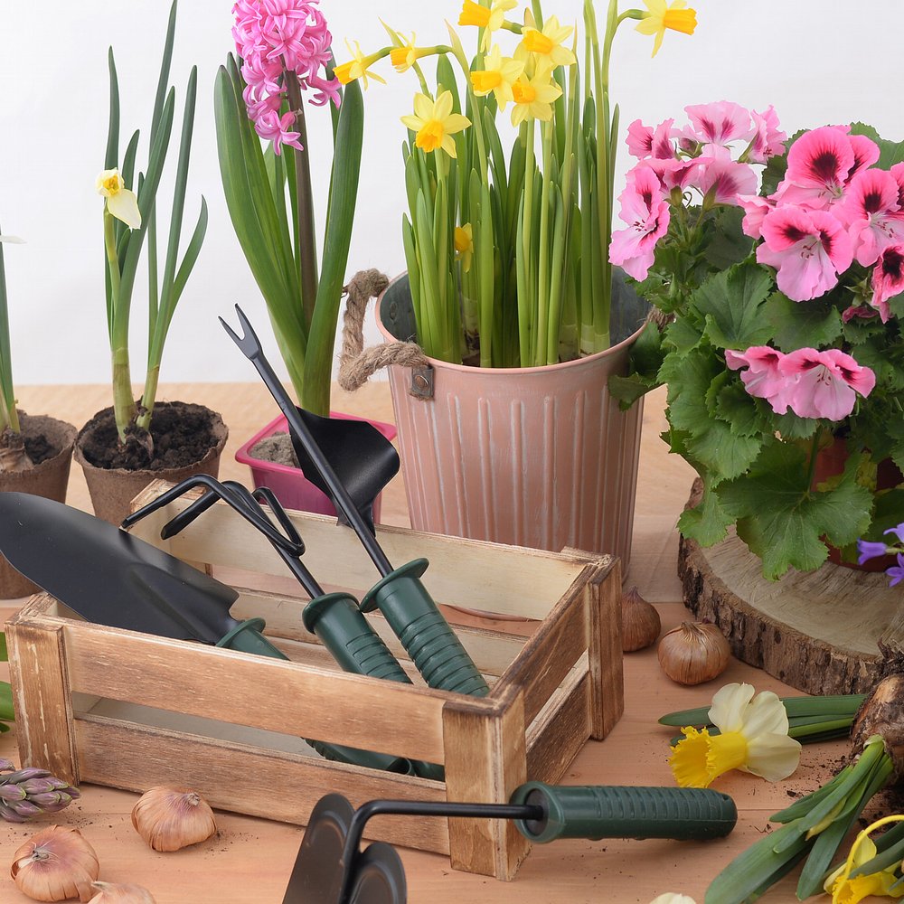 Тяпка (зелен. ручка)