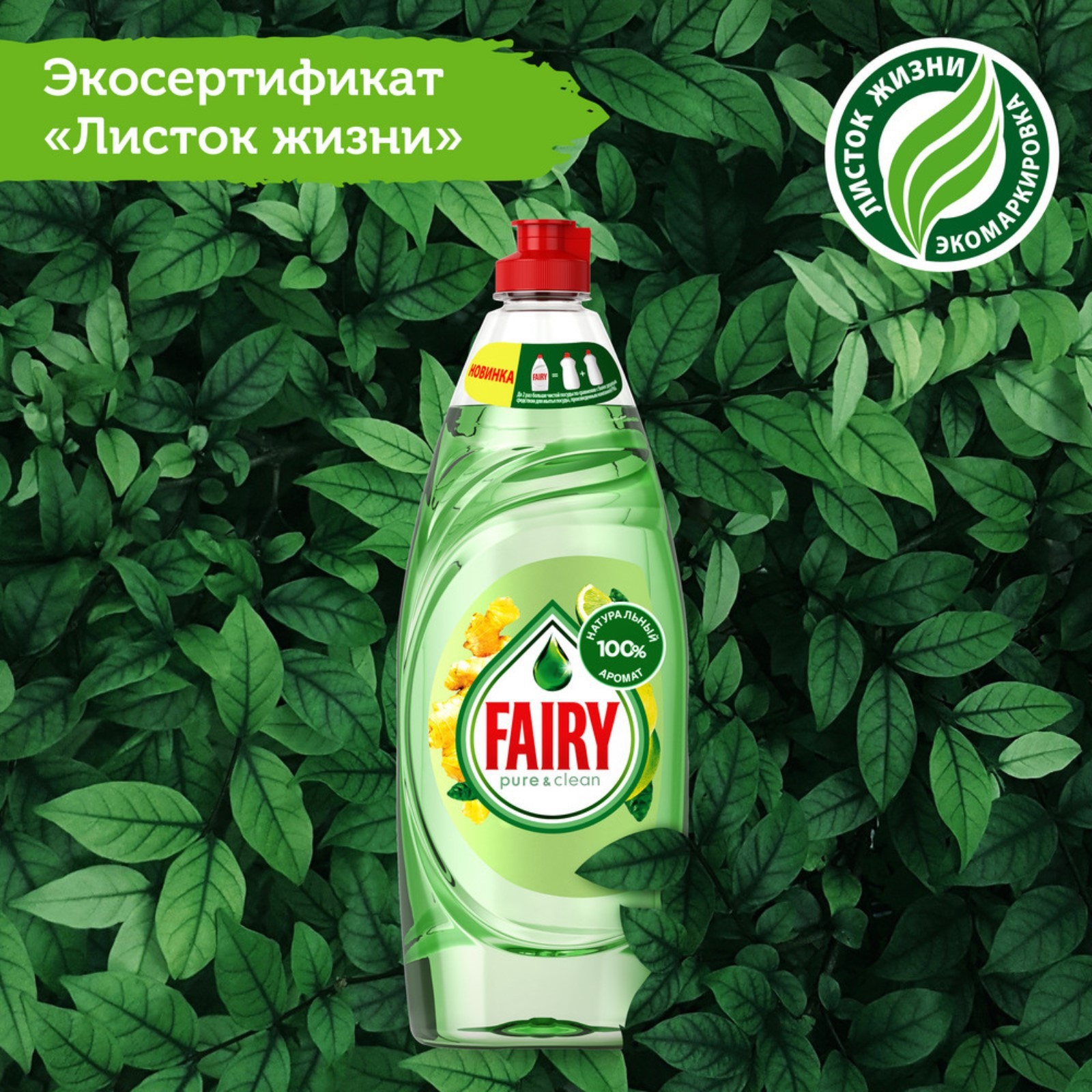 Фэйри для мытья посуды Pure&Clean Бергамот и Имбирь 650мл