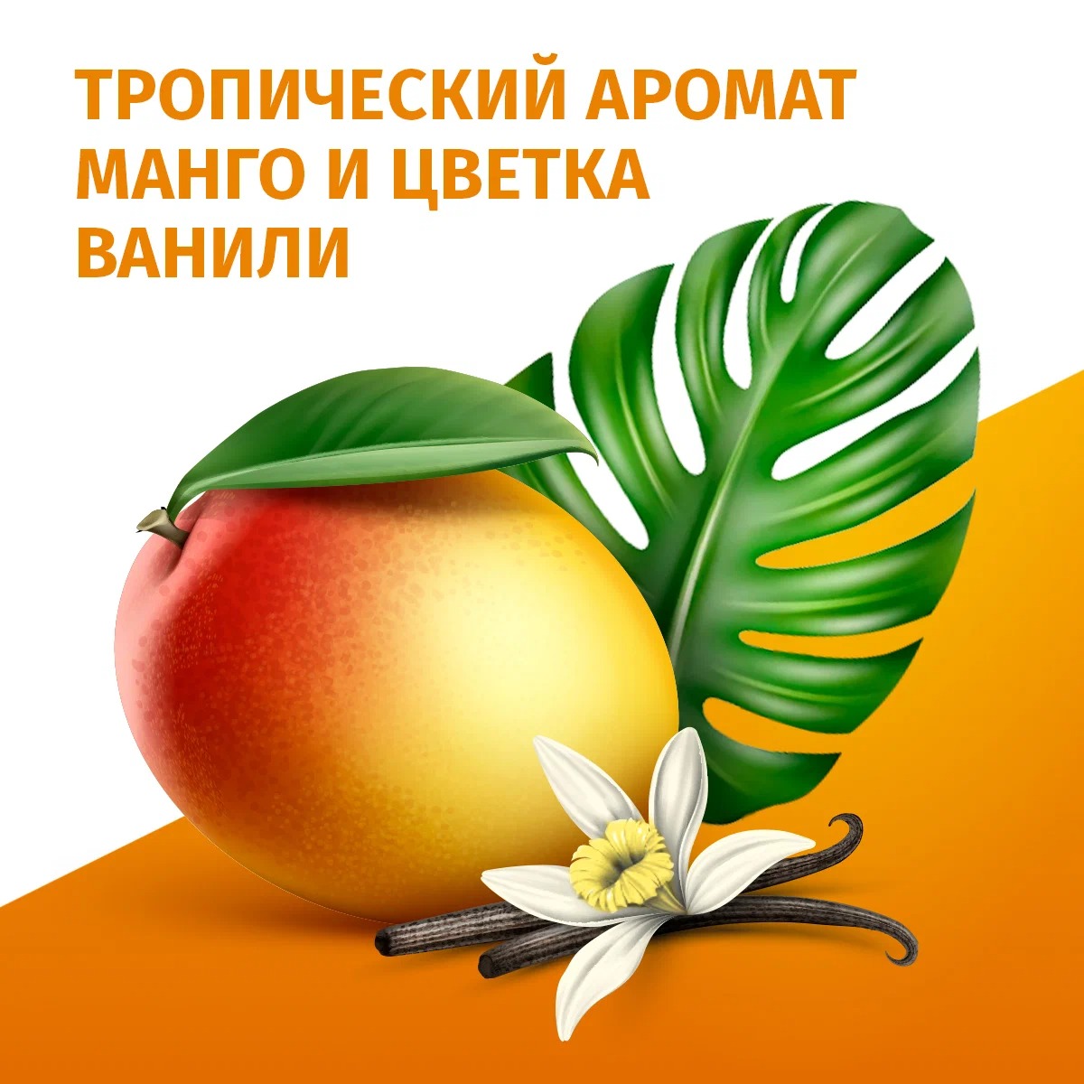 Fa аэрозоль дезодорант Ритмы острова Бали Delight 150мл