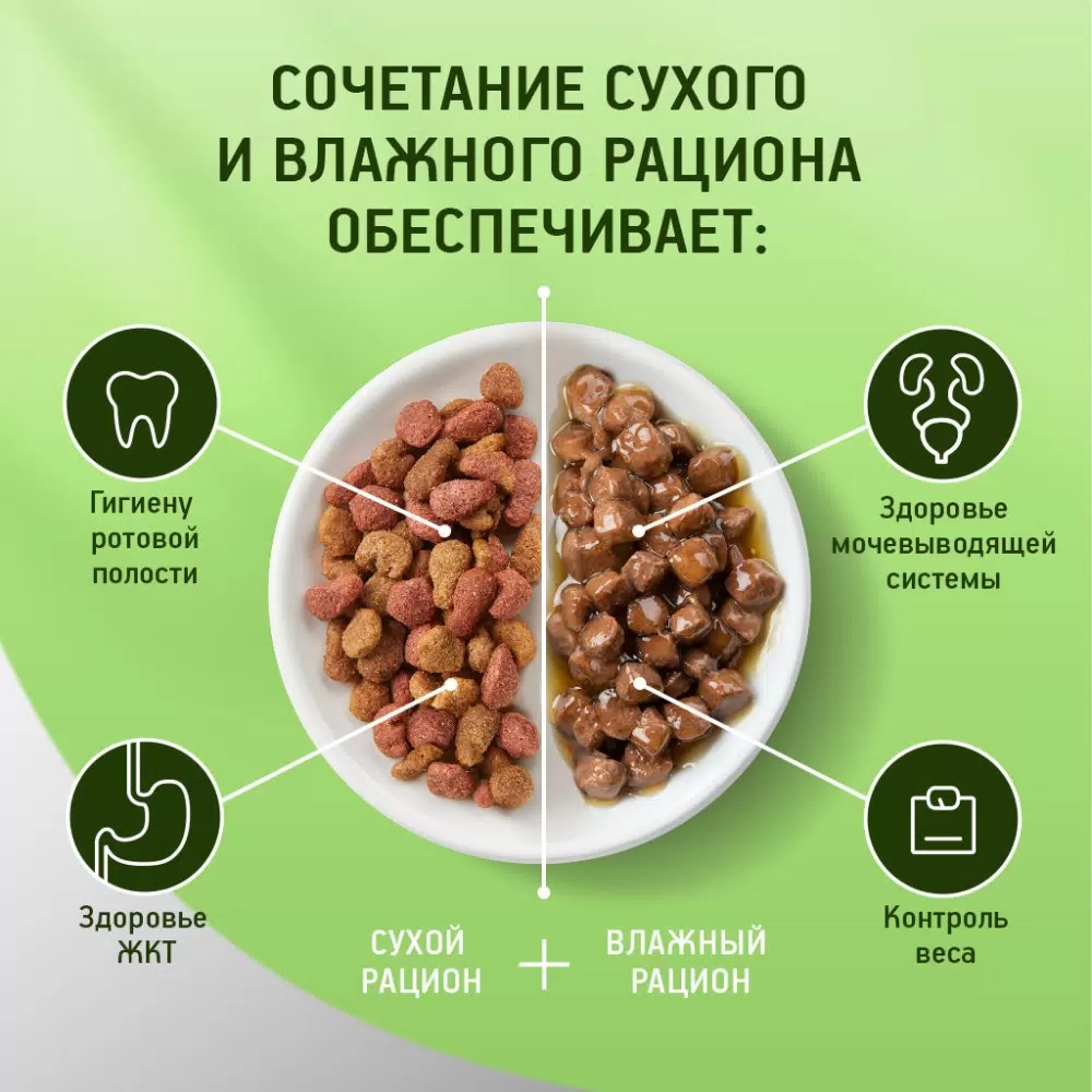 Kitekat пауч влажный рыба в соусе 85 гр 