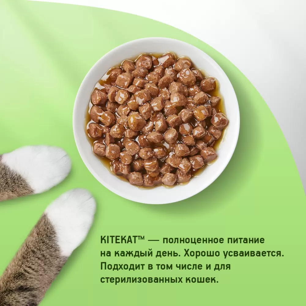 Kitekat пауч влажный рыба в соусе 85 гр 
