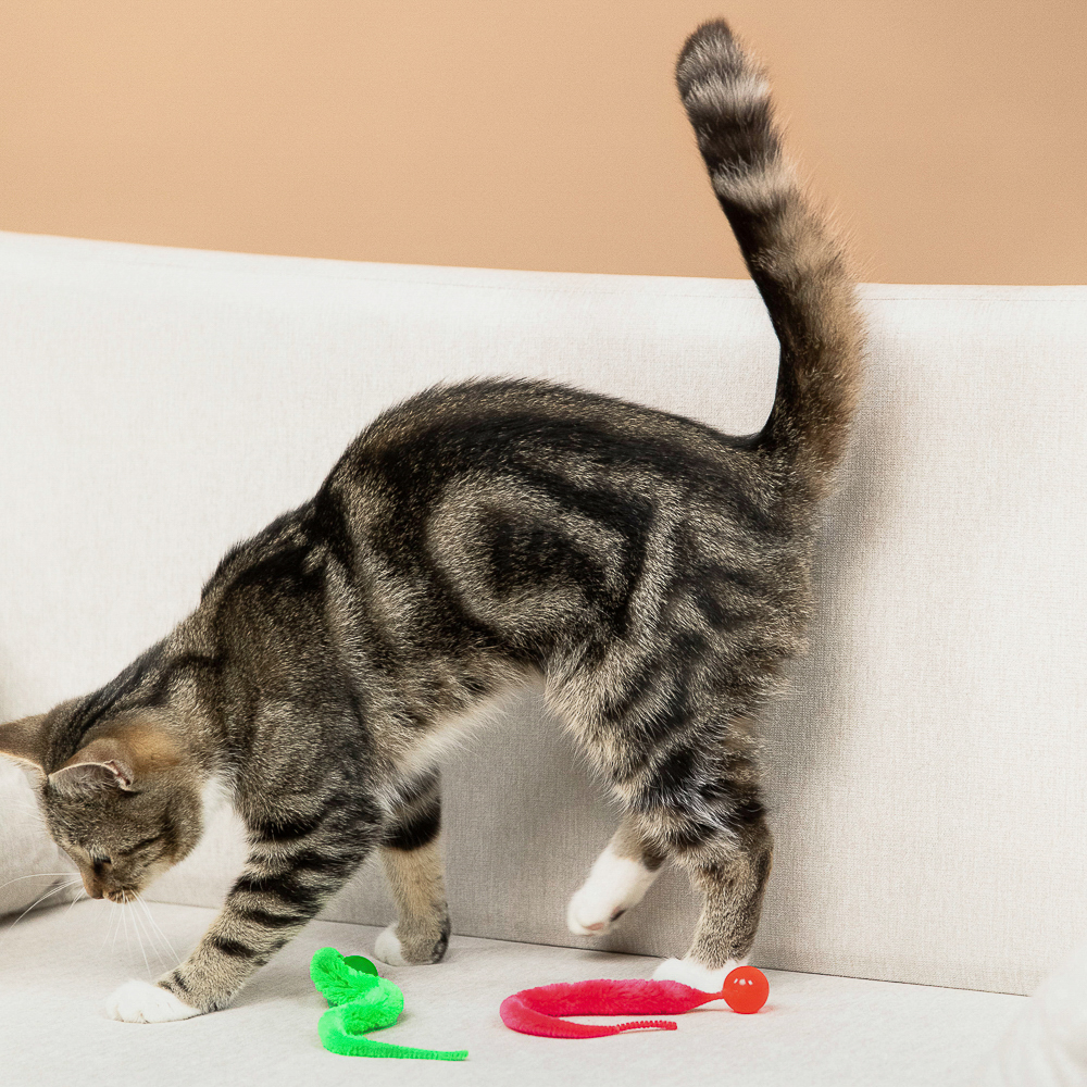 VETTA Игрушка для домашних животных, ТПР, ПЭ, 2,5 см