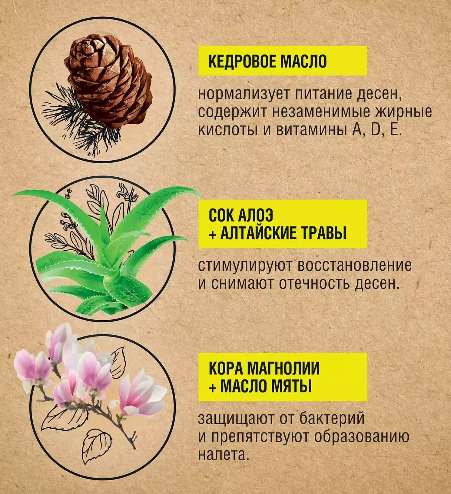 Лесной бальзам двухфазный ополаскиватель для полости рта с орг.маслами и алоэ 250мл