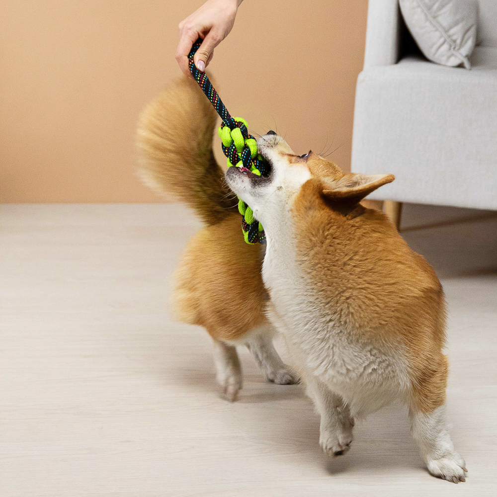 VETTA Игрушка для домашних животных, плеть, перо, набор 2шт