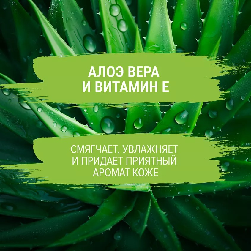 ARKO гель для бритья Soft Touch для чувствительной кожи алоэ вера&витамин Е 200мл жен.C-806