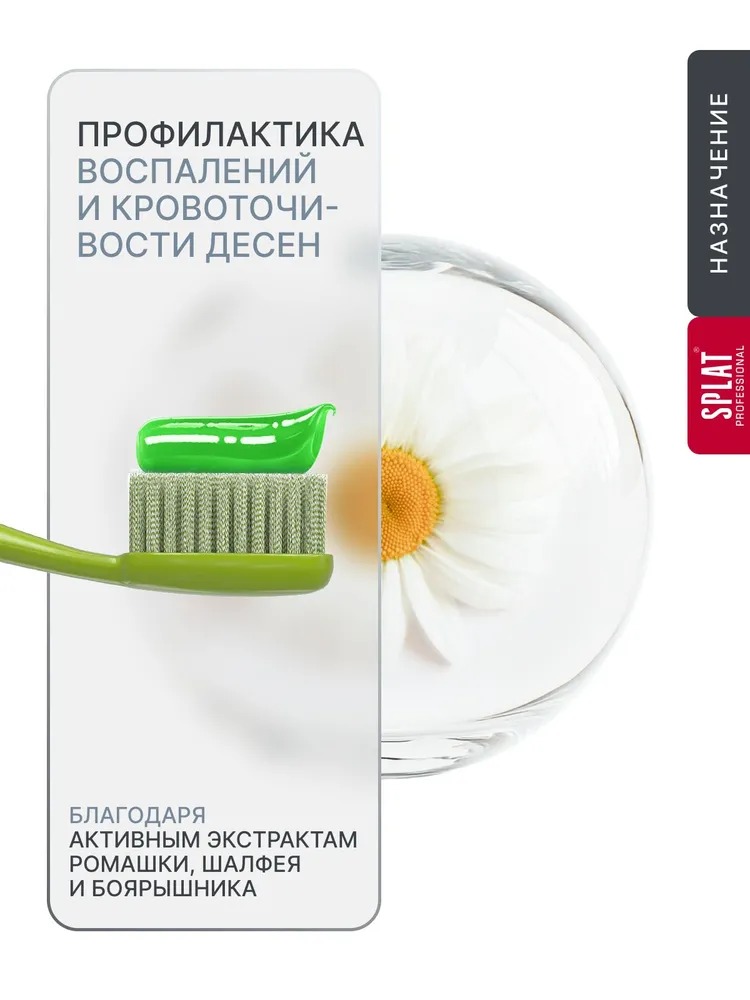 Splat зубная паста Professional Medical Herbs 100мл