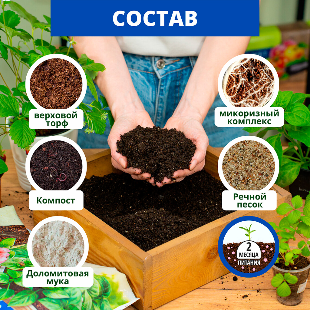 Биомастер Живая почва для рассады 10 л