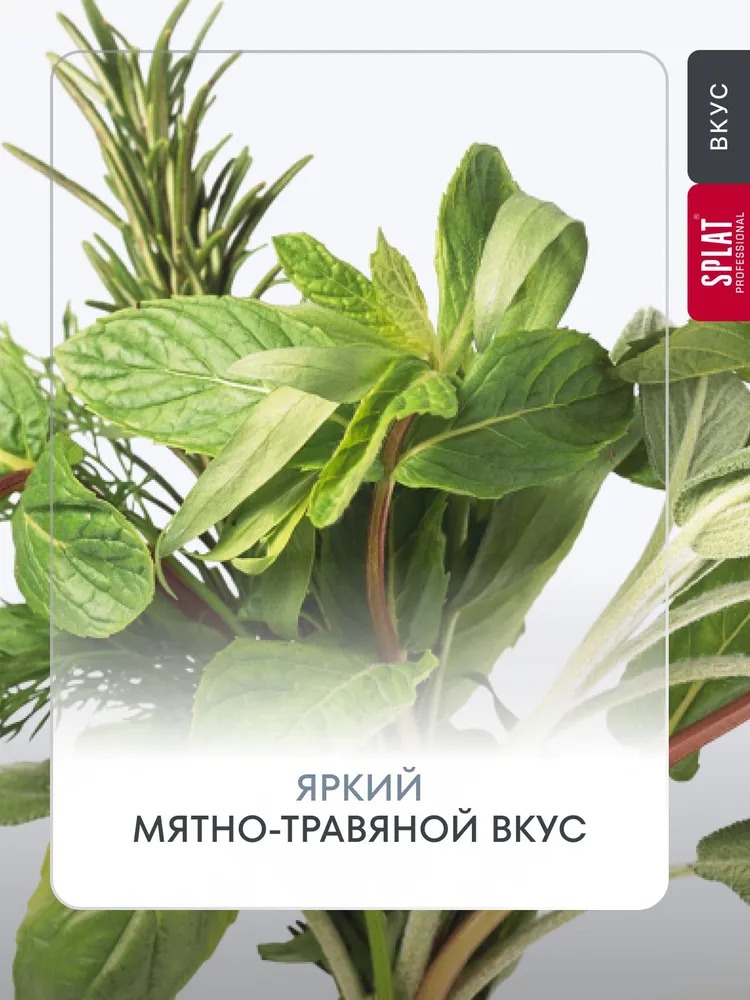 Splat ополаскиватель Professional Complex 3в1/Комплекс 3в1 275мл