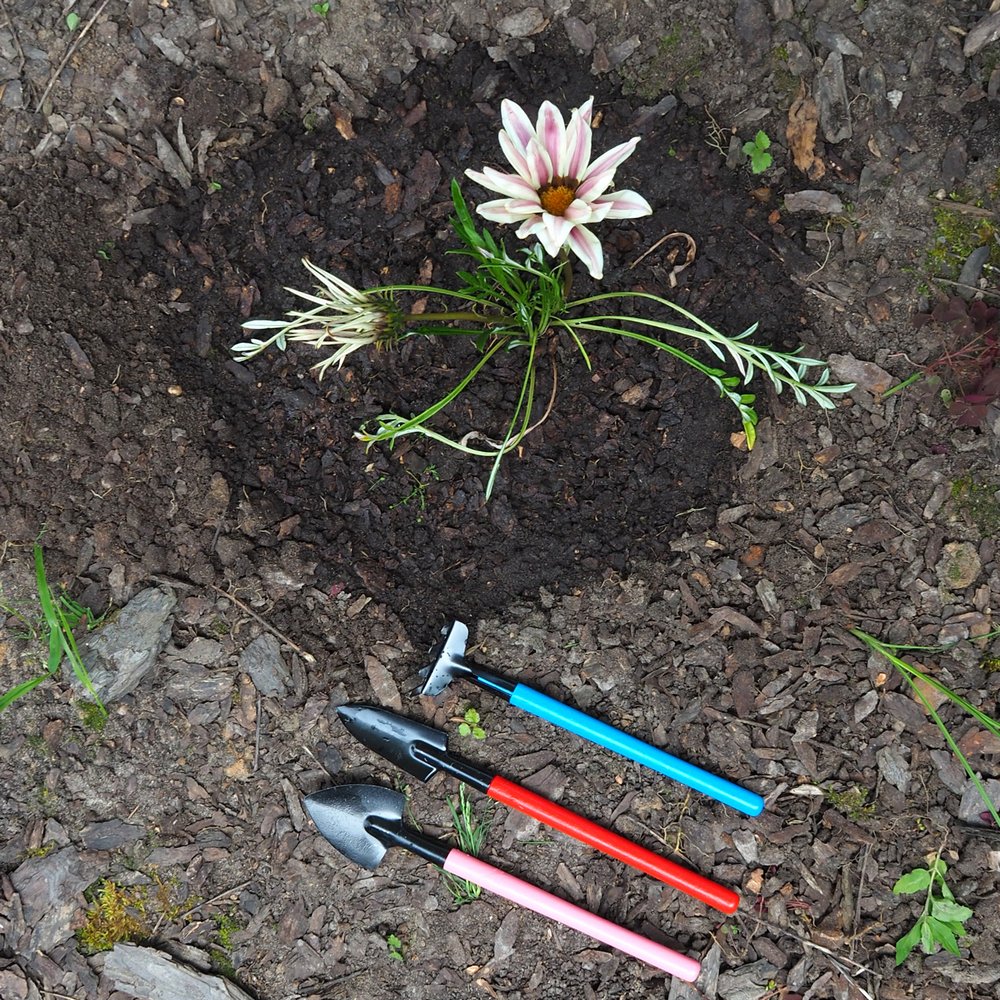 Набор инструментов для комнатных растений "Гортензия" 3 предмета VL83-163