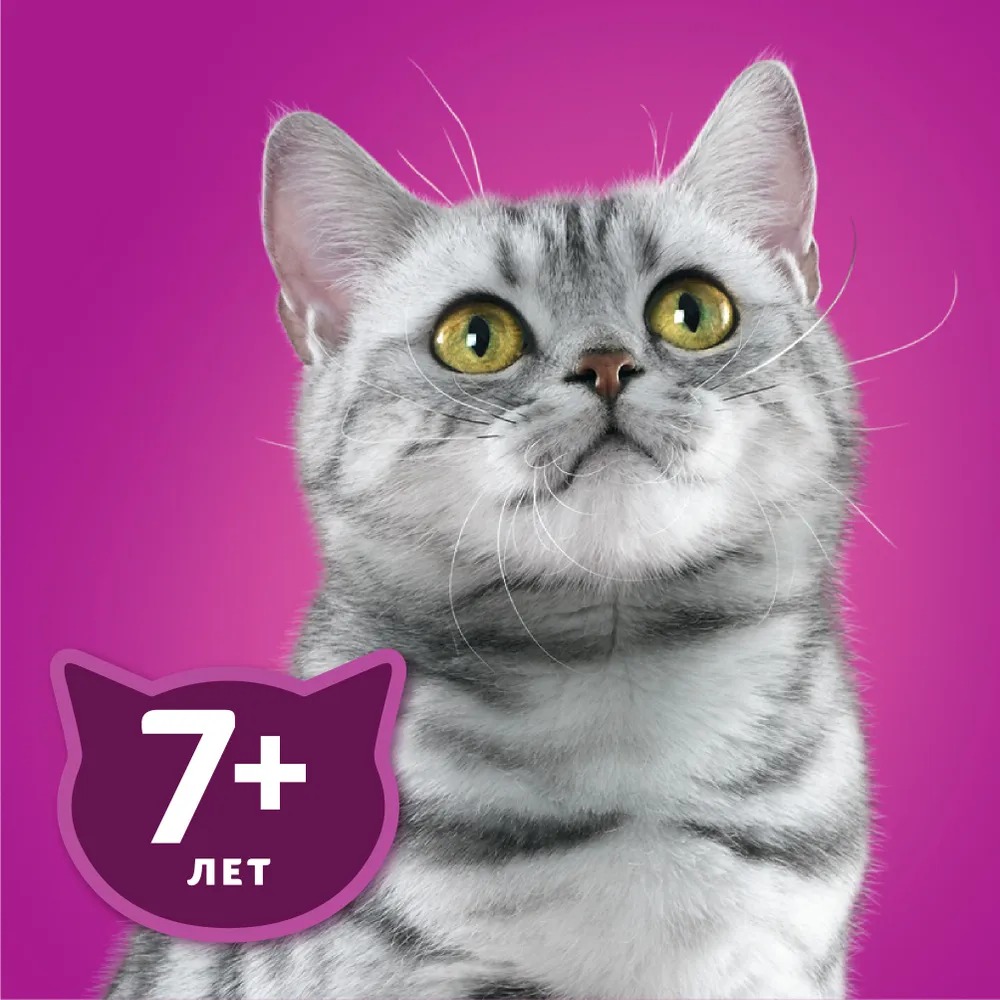 Whiskas влажный рагу курица 75/ 85гр м/уп