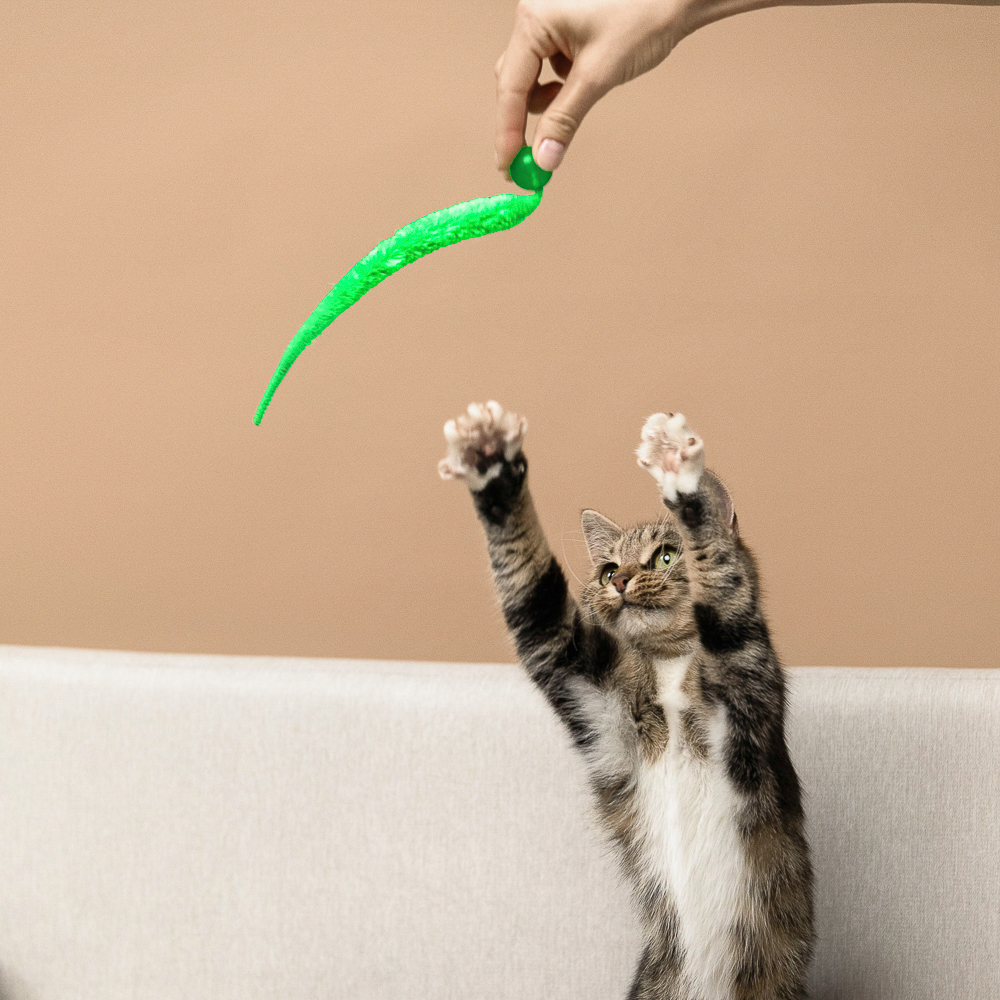 VETTA Игрушка для домашних животных, ТПР, ПЭ, 2,5 см