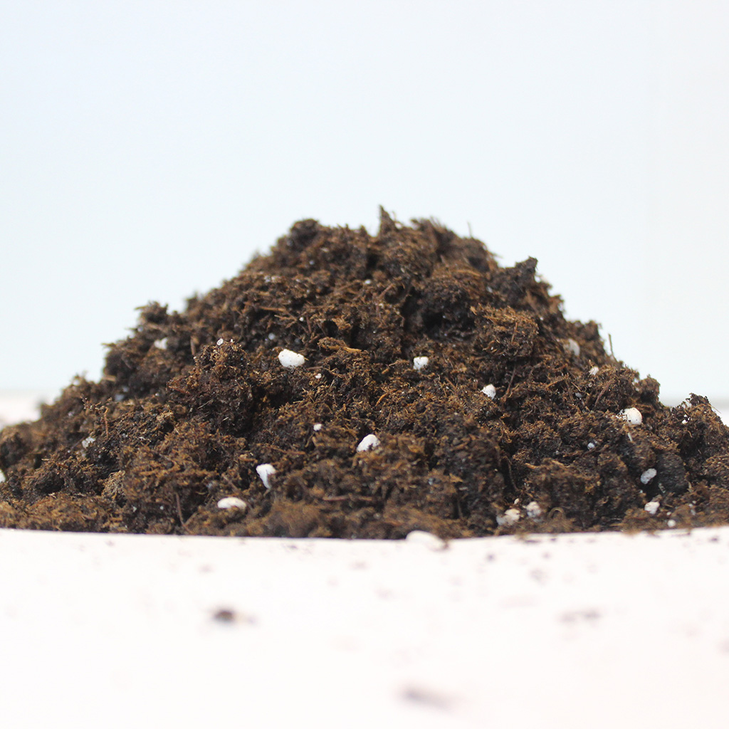 Биомастер почвогрунт для дек/растений 10л 