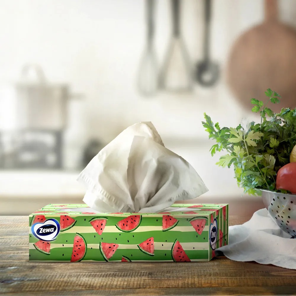 Зева салфетки для лица 2-слойные Евридей 100шт