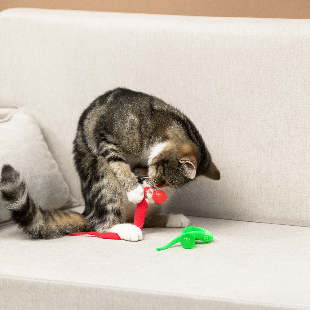 VETTA Игрушка для домашних животных, ТПР, ПЭ, 2,5 см