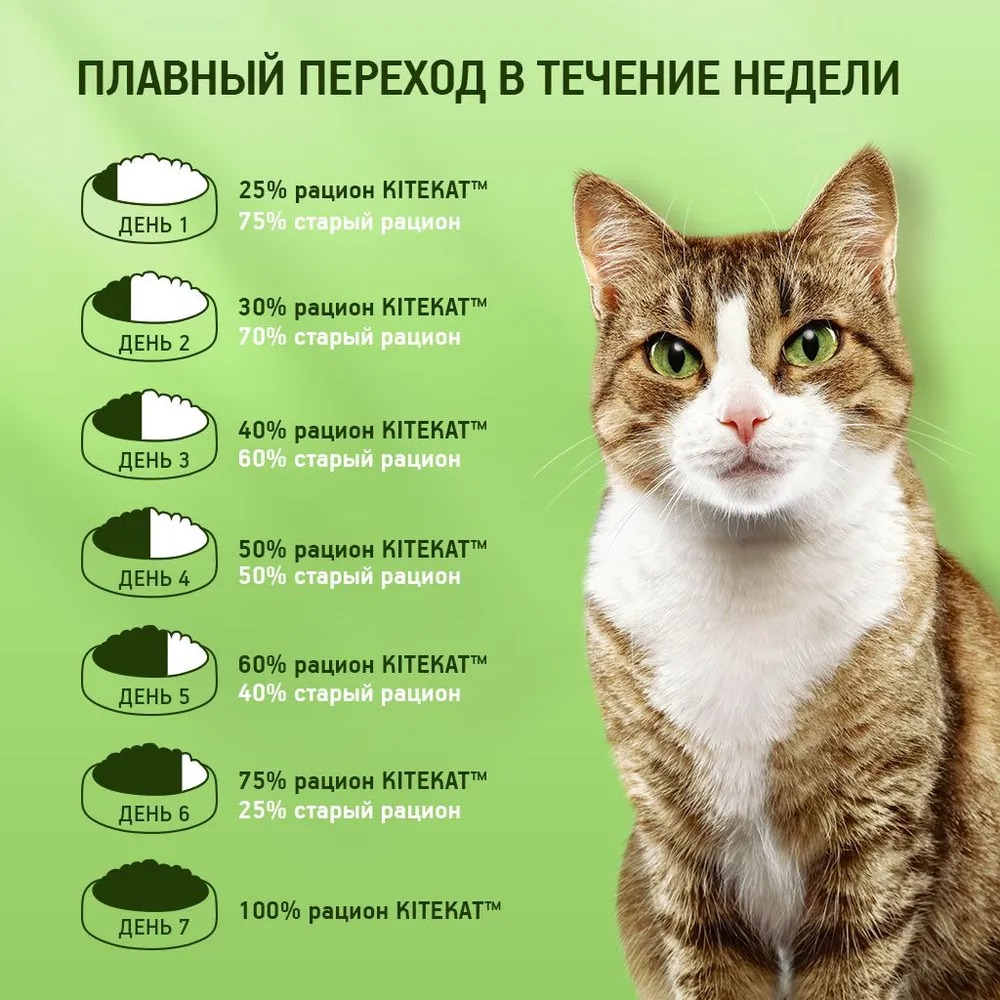 Kitekat влажный курица желе 85гр м/уп