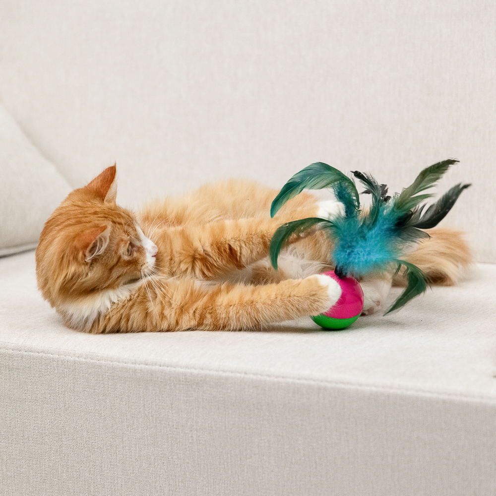 VETTA Игрушка для домашних животных, пластмасса, перья, 5,5*8 см
