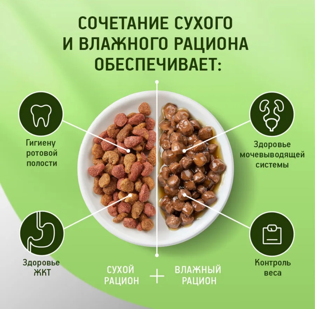 Kitekat влажный Ягненок в соус 85г м/уп