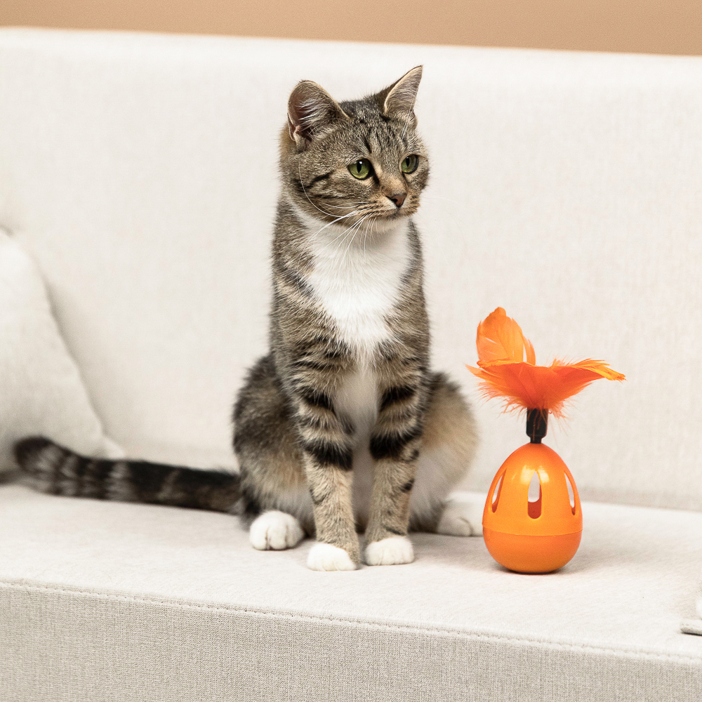 VETTA Игрушка для домашних животных, пластмасса, перья, 7*11,5 см