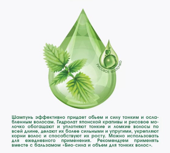 Bioteq Шампунь био-сила и объем для тонких волос с гидролатом японской крапивы 620мл