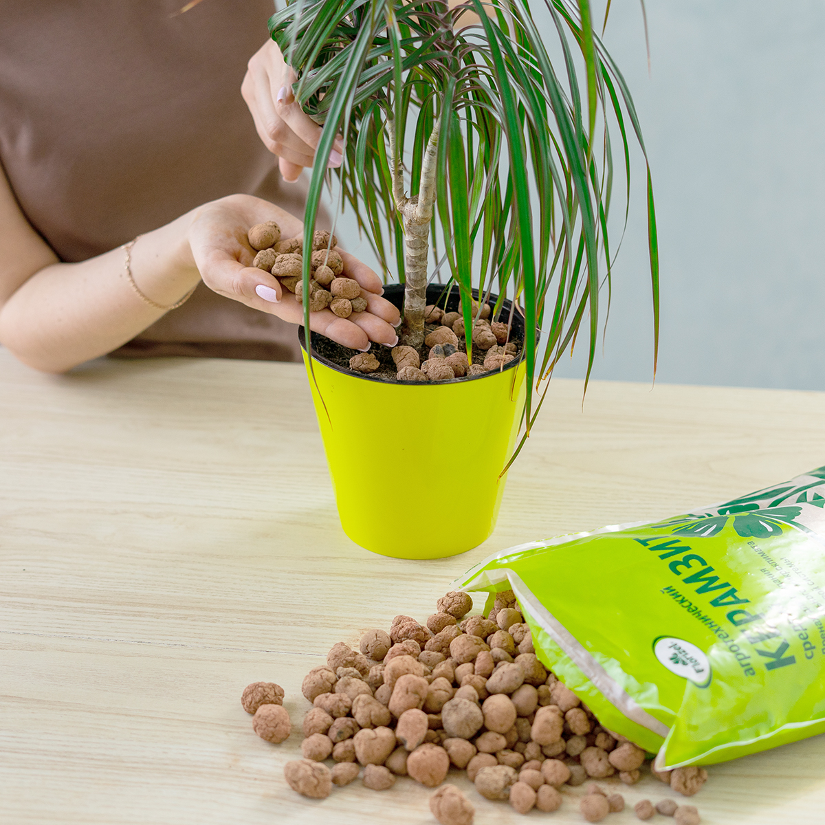 Биомастер керамзит средний Florizel .5л