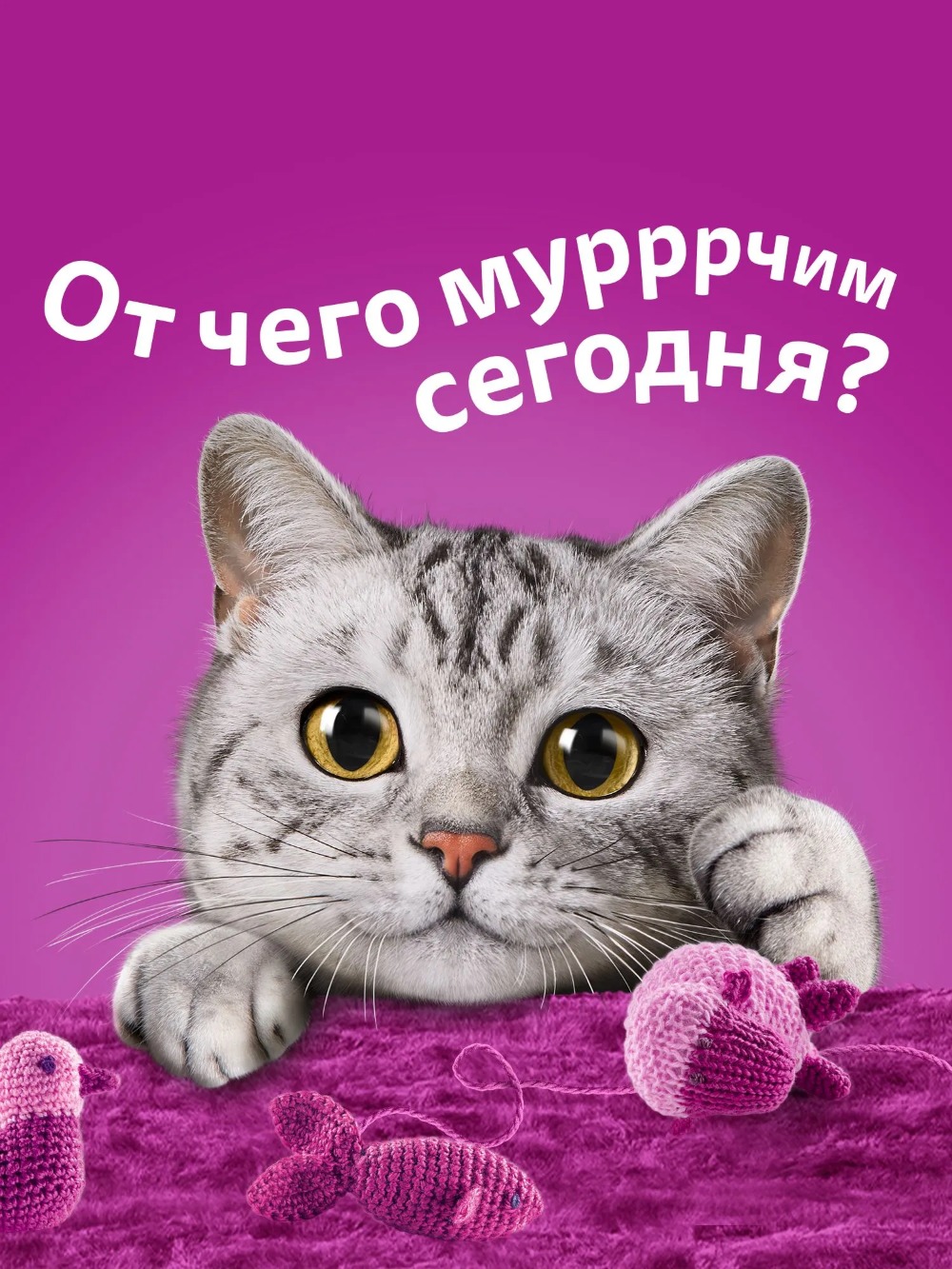 Whiskas влажный желе кролик 75гр м/уп