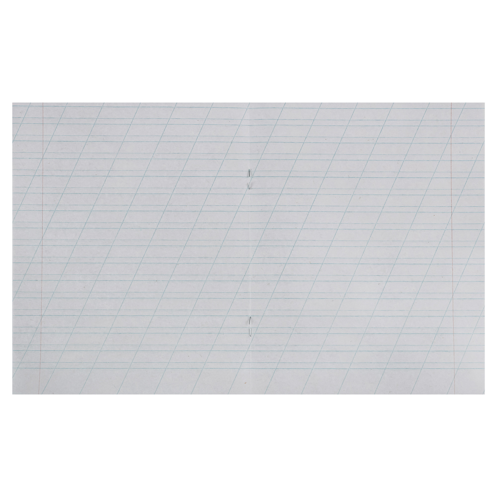 Тетрадь школьная 12л. в линейку косую, блок №2, зеленая обл., скрепка