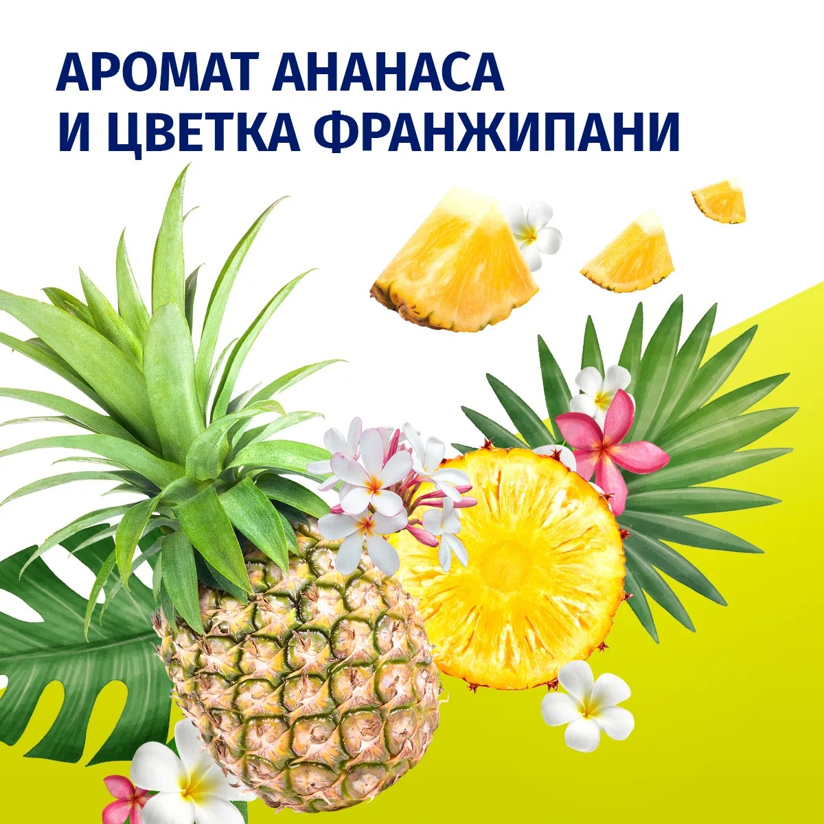 Fa аэрозоль дезодорант Ритмы острова Гавайи Fun 150мл