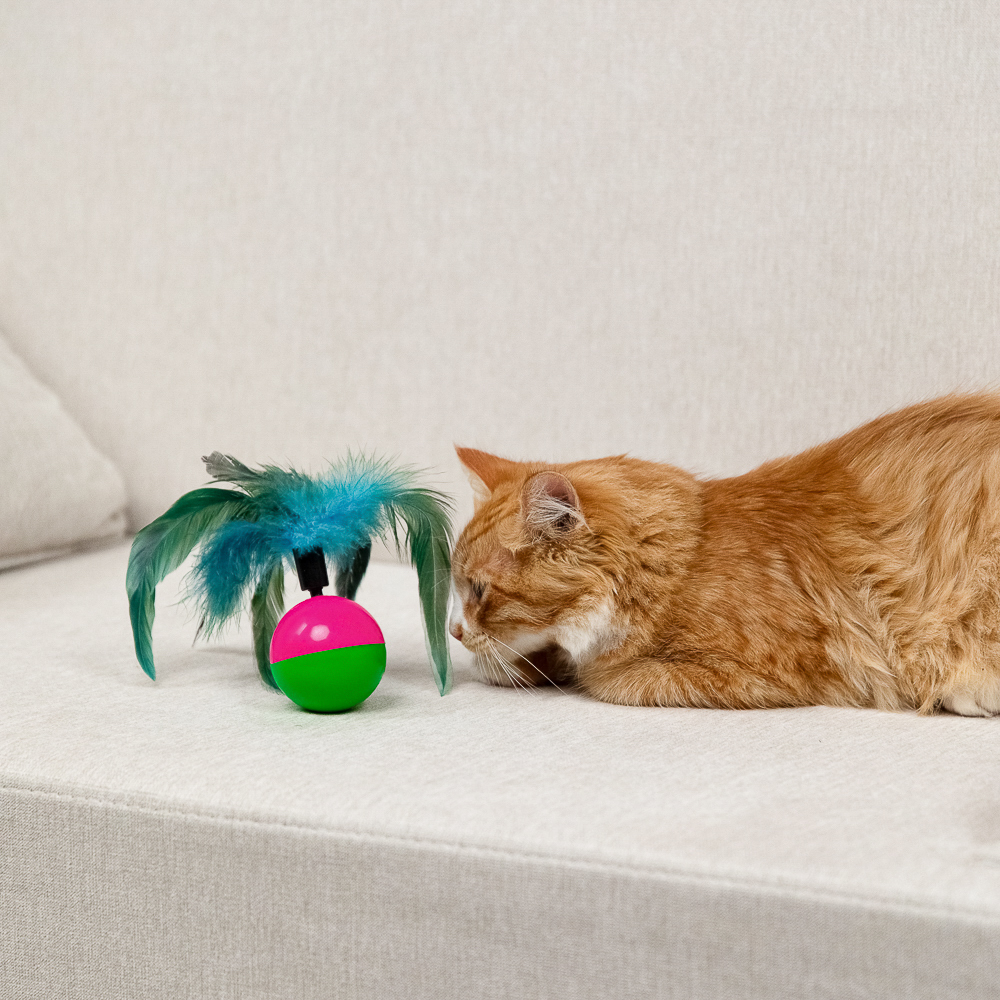 VETTA Игрушка для домашних животных, пластмасса, перья, 5,5*8 см