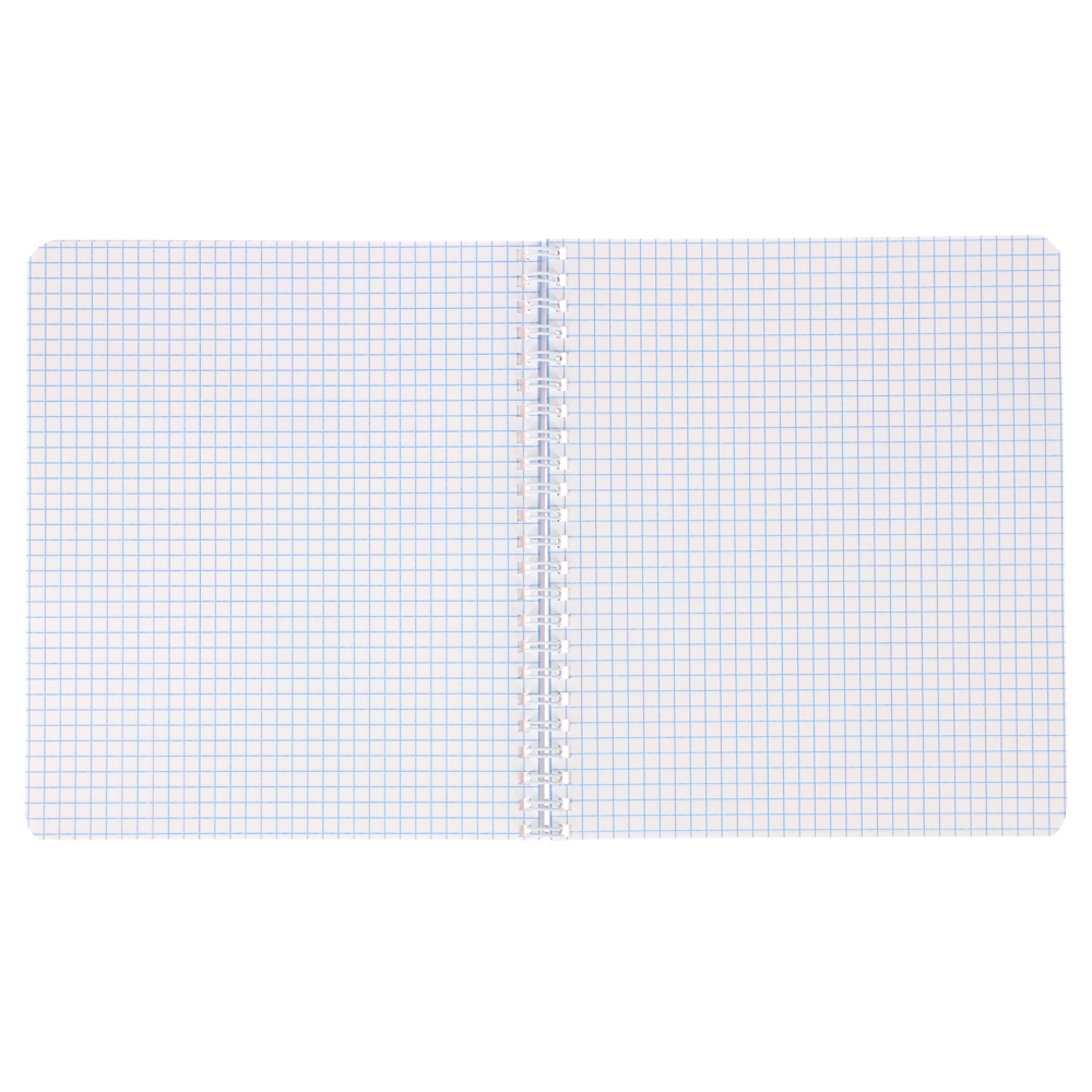 Тетрадь школьная 48л в клетку, блок офсет, обложка картон, "Однотонная", скрепка, 3 диз.