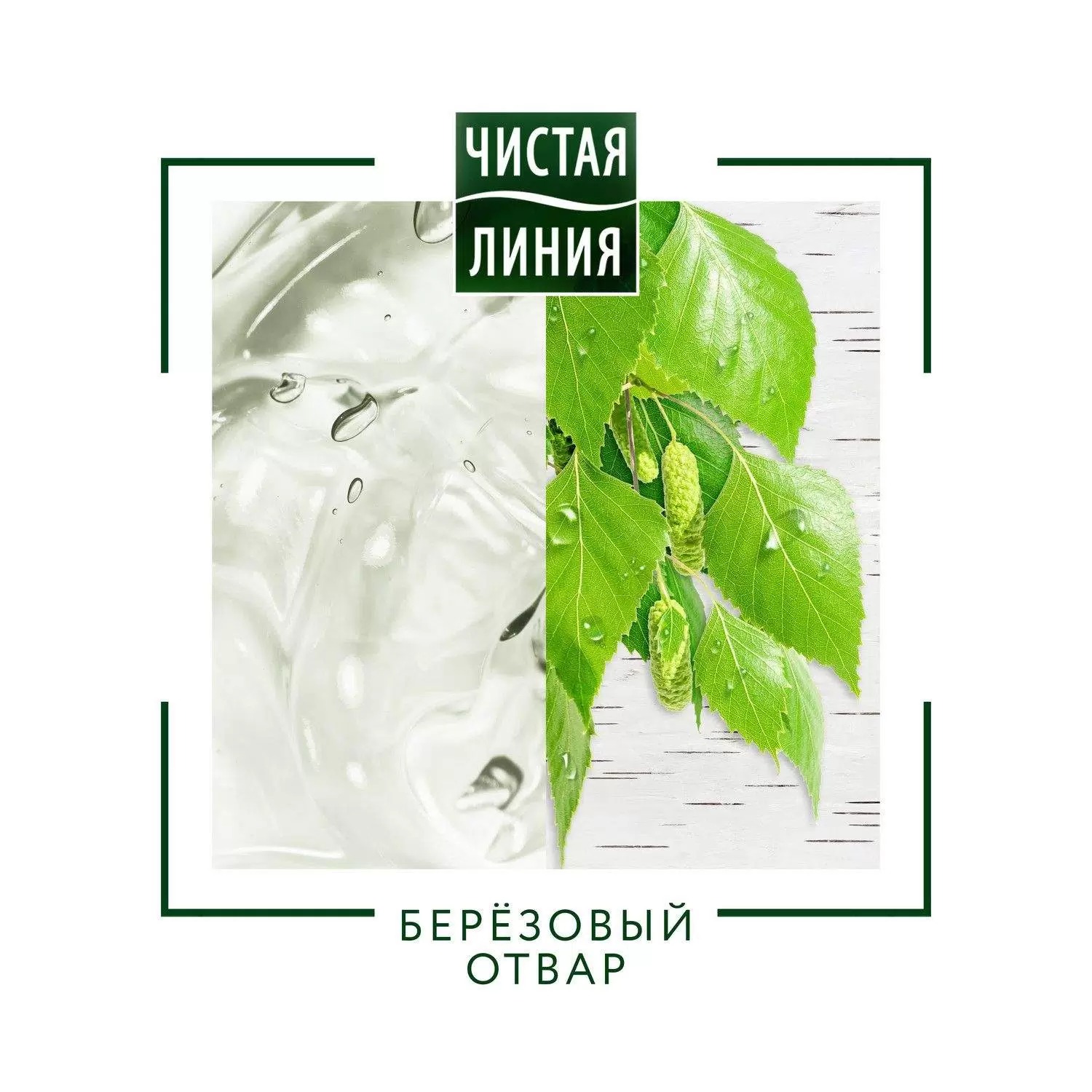 Чистая Линия шампунь-уход 400мл  (Березовый, для всей семьи)