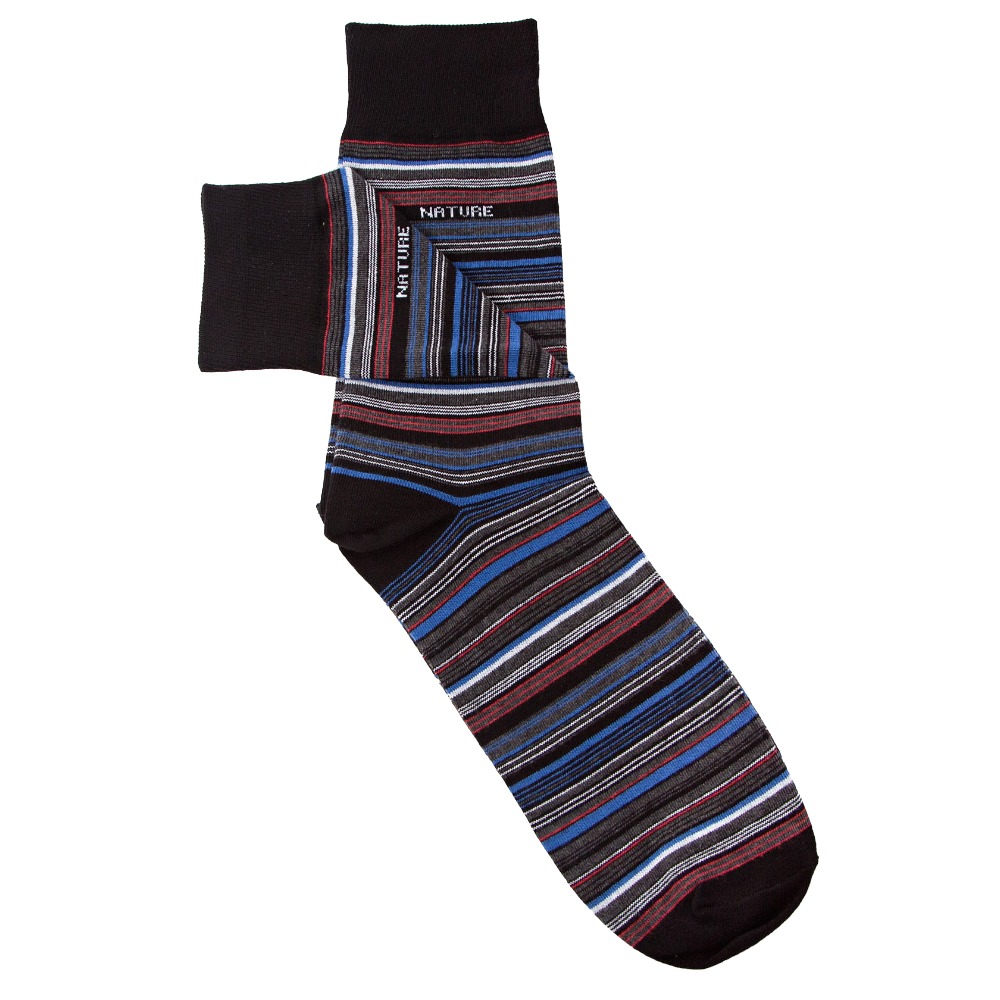 Носки мужские демисезон арт.418/453 р.25-29