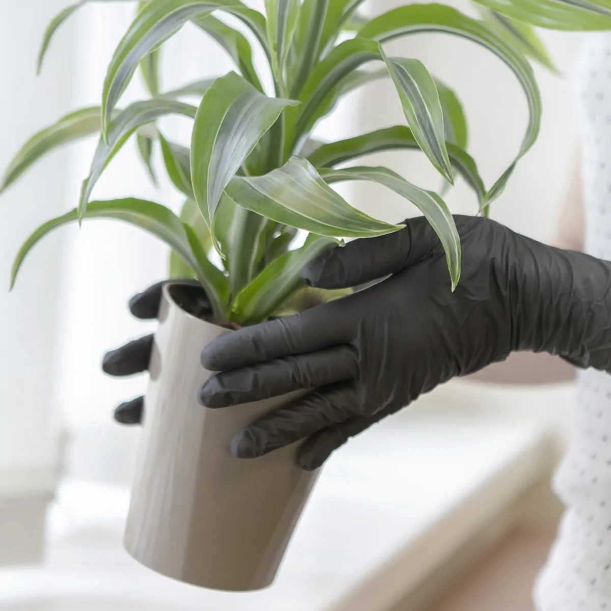 Перчатки нитриловые черные L/M/S100шт(черные) (S, черный)