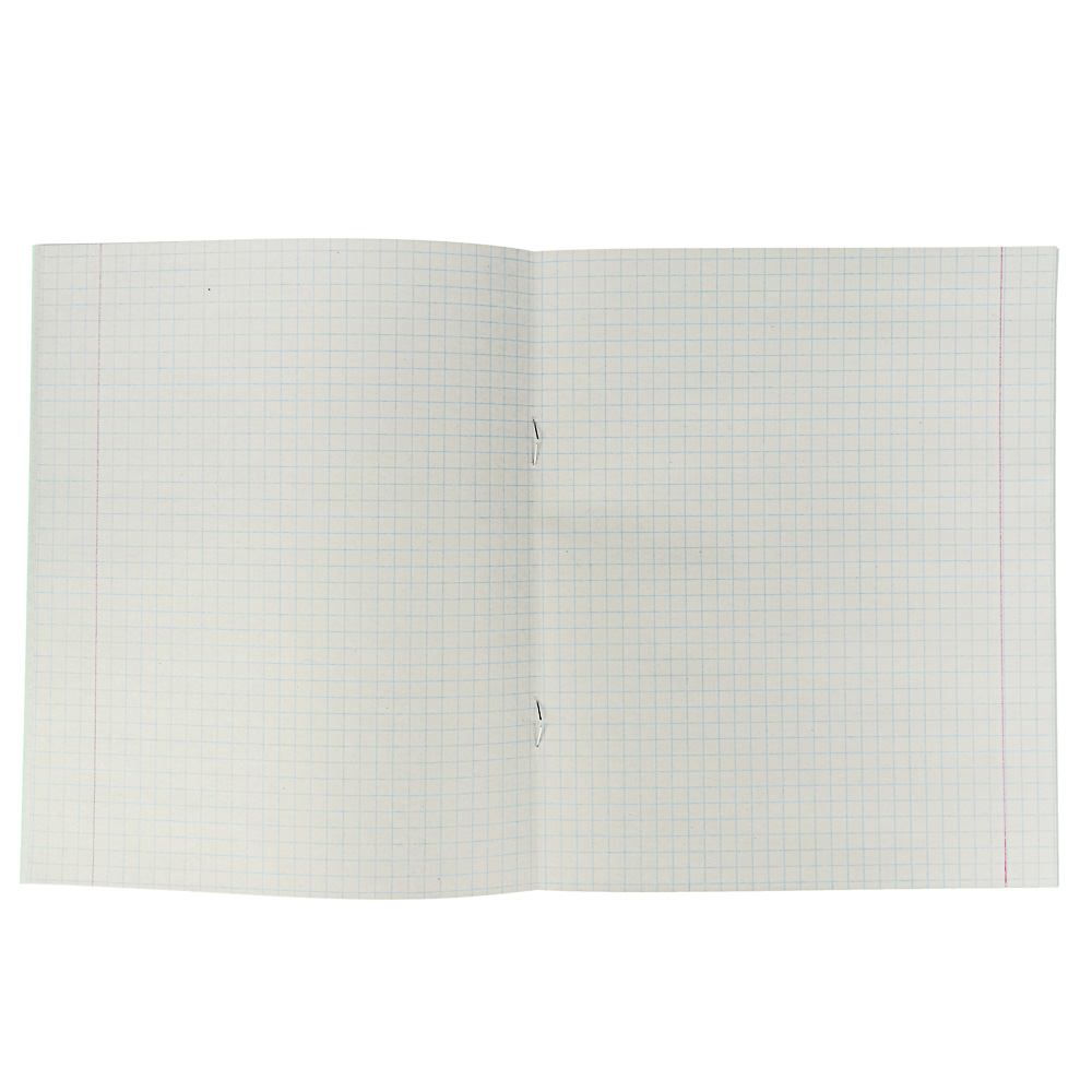 Тетрадь школьная 24листа в клетку зеленая обложка