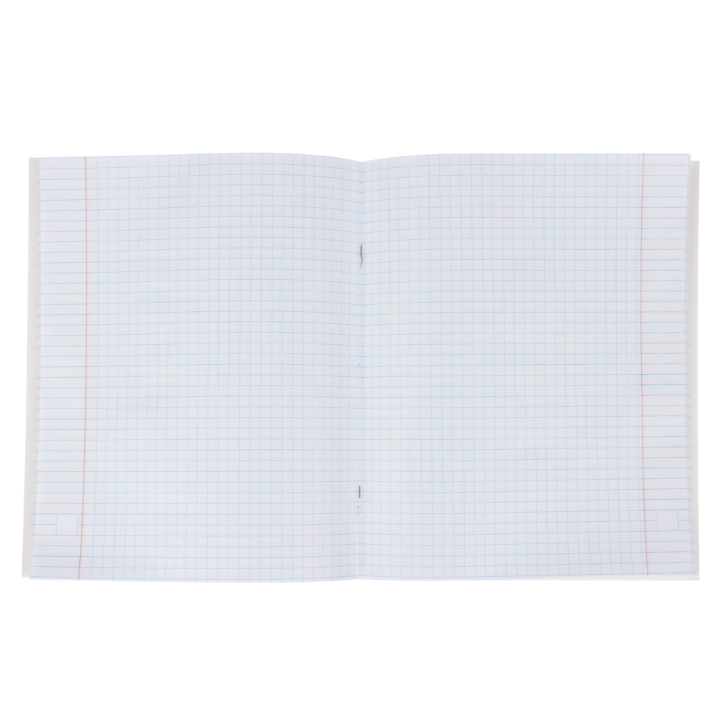 ClipStudio Тетрадь общая 48л, в клетку, офсет, обл мел.картон, скрепка, Звери на черном, ВД-лак5 диз