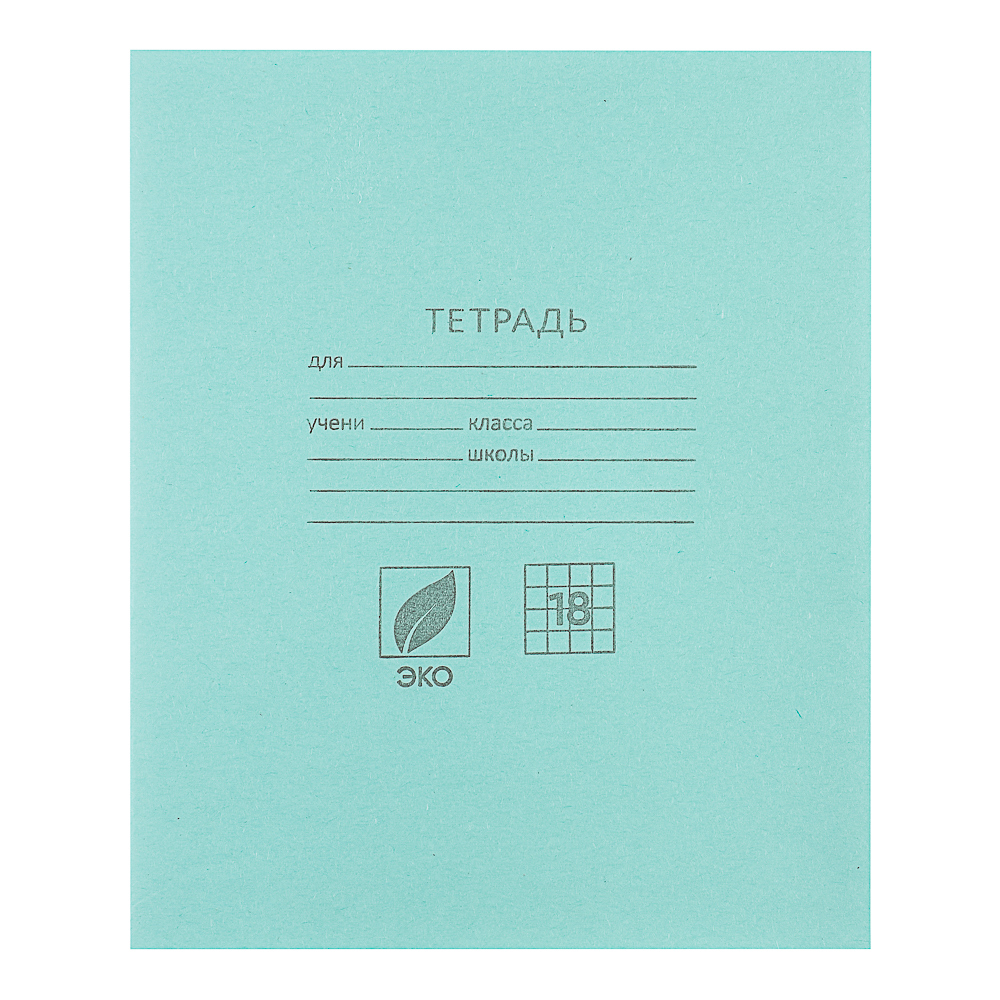 Тетрадь школьная 18 листов ,в клетку  018ТУ13С5