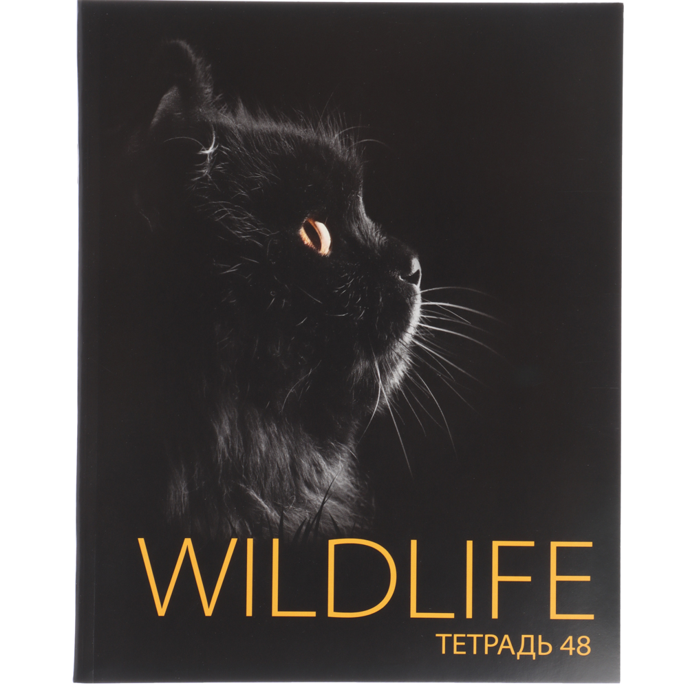 ClipStudio Тетрадь общая 48л, в клетку, офсет, обл мел.картон, скрепка, Звери на черном, ВД-лак5 диз